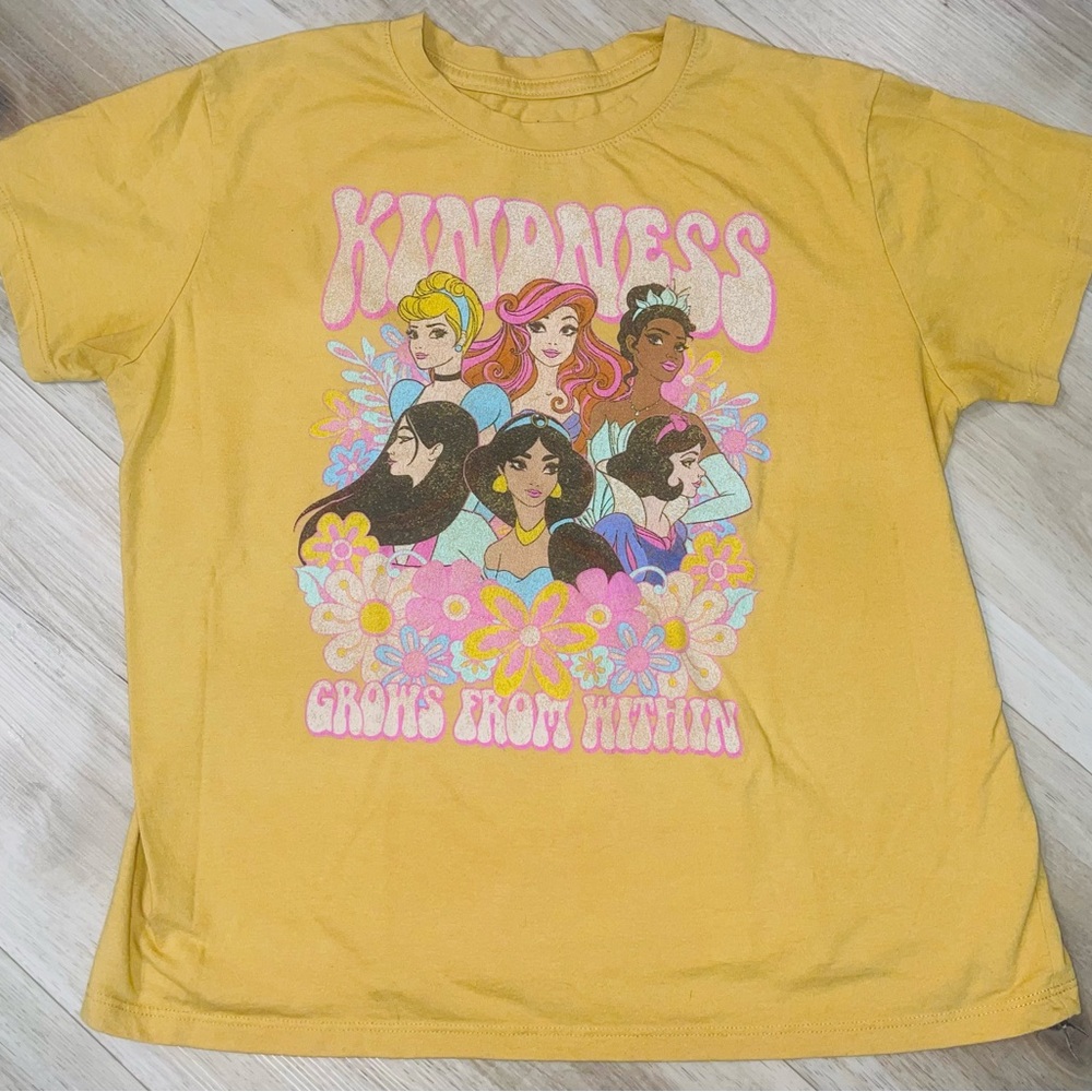 Disney Princess size large t shirt
